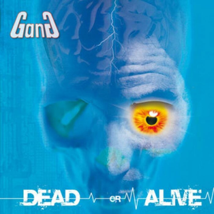 cover gang-dead-or-alive